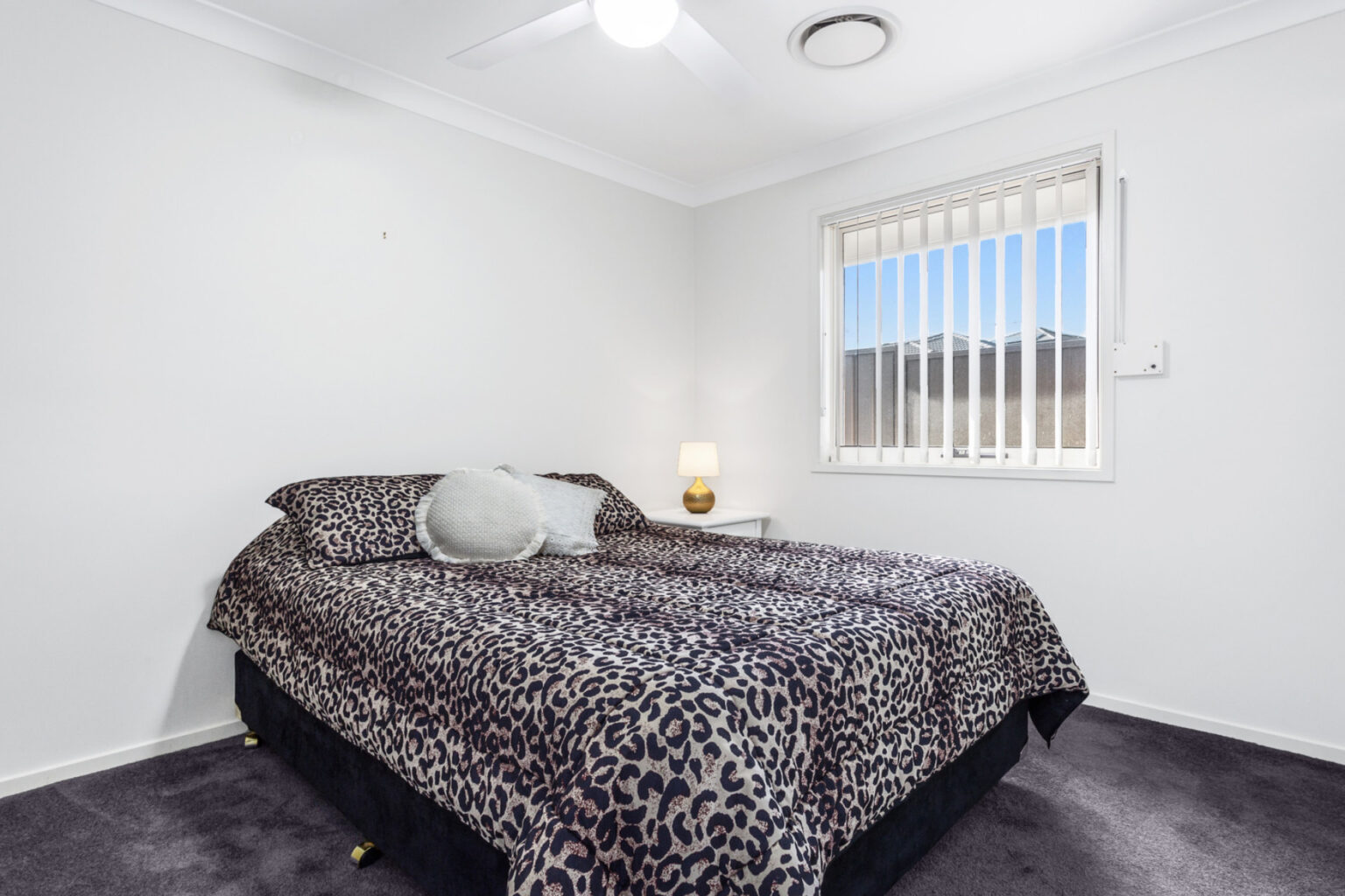  - 24 Jackson Crescent - New Property in Elderslie - Real Estate by 