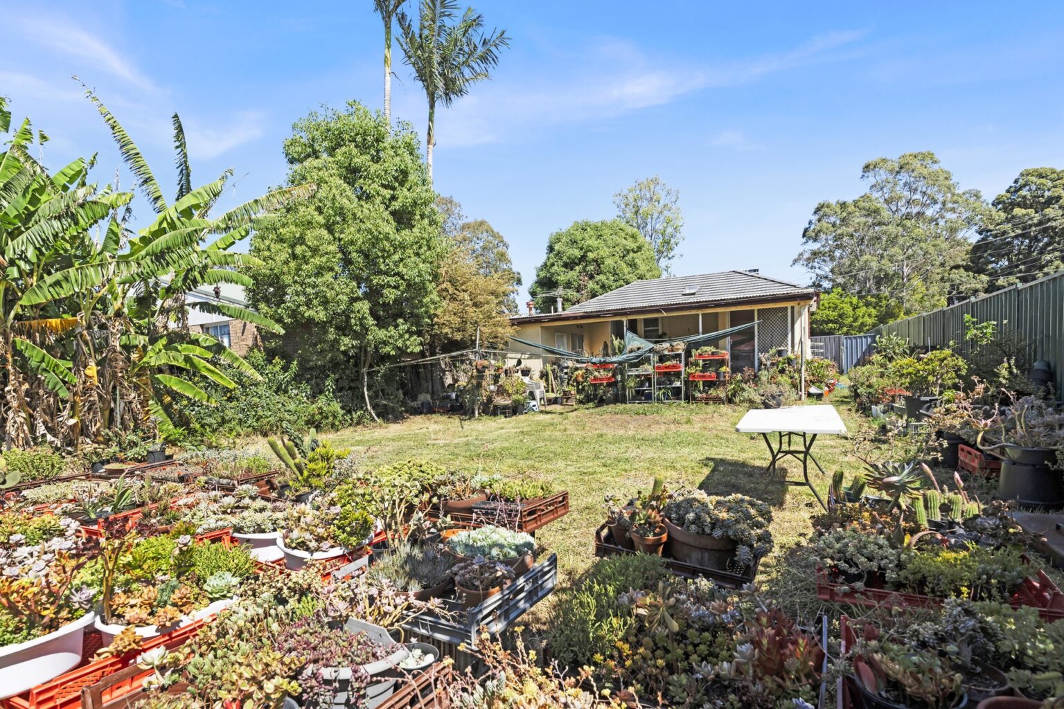 Sold - 62 Moorebank Avenue - New Property in Moorebank - Real Estate by Michael Galluzzo